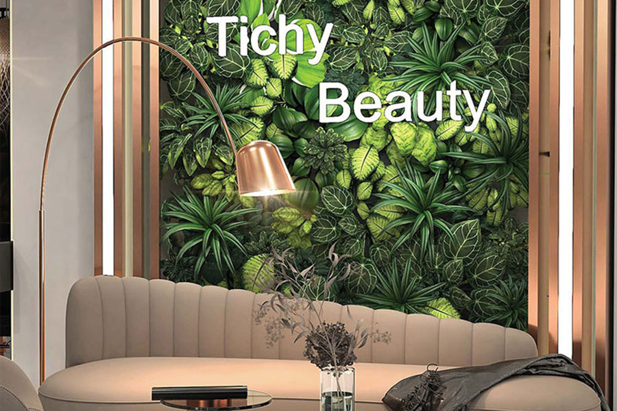 tichy salon